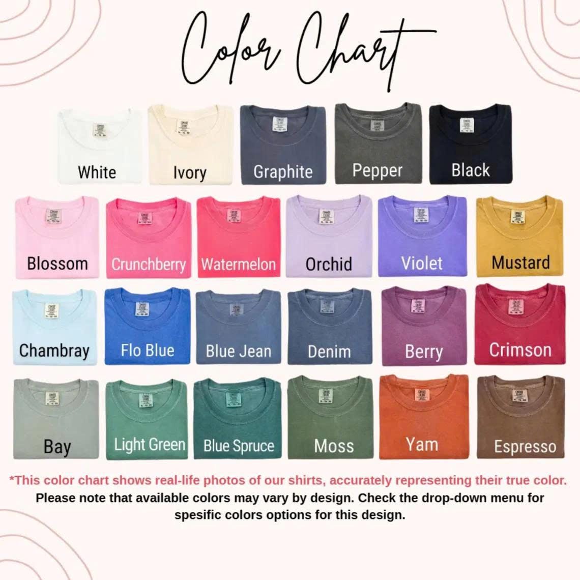 Funny Boy Mom Shirt, Outnumbered By Boys, Silly Goose Tee, Mothers Day Gift, Mom Of Boys Top, Comfort Colors Apparel, Chaotic Motherhood